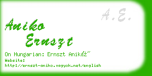 aniko ernszt business card